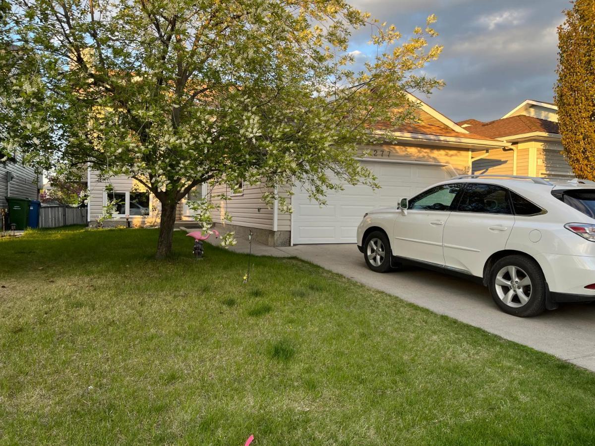Citadel Hill Cr Community! Apartment Calgary Ngoại thất bức ảnh