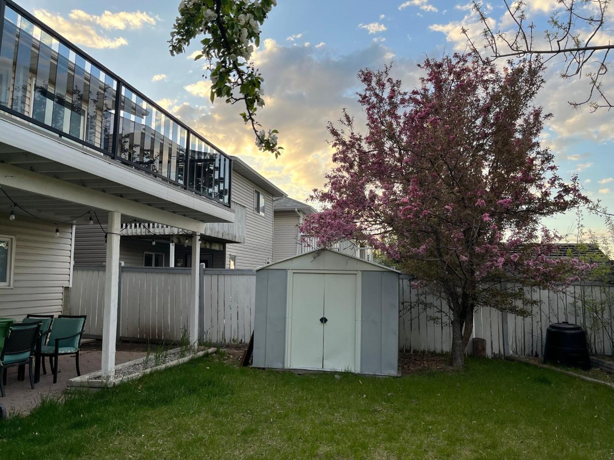 Citadel Hill Cr Community! Apartment Calgary Ngoại thất bức ảnh